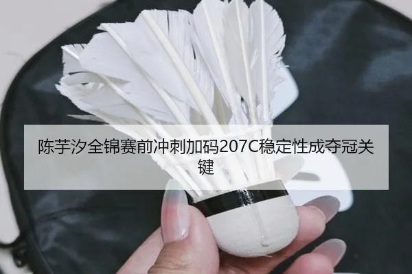 陈芋汐全锦赛前冲刺加码207C稳定性成夺冠关键